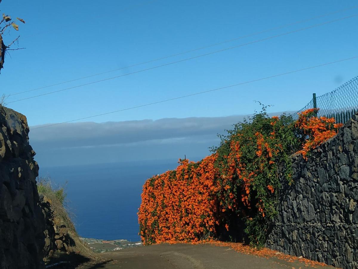 Finca Rural House Tenerife Relax And Enjoy Santa Úrsula Esterno foto