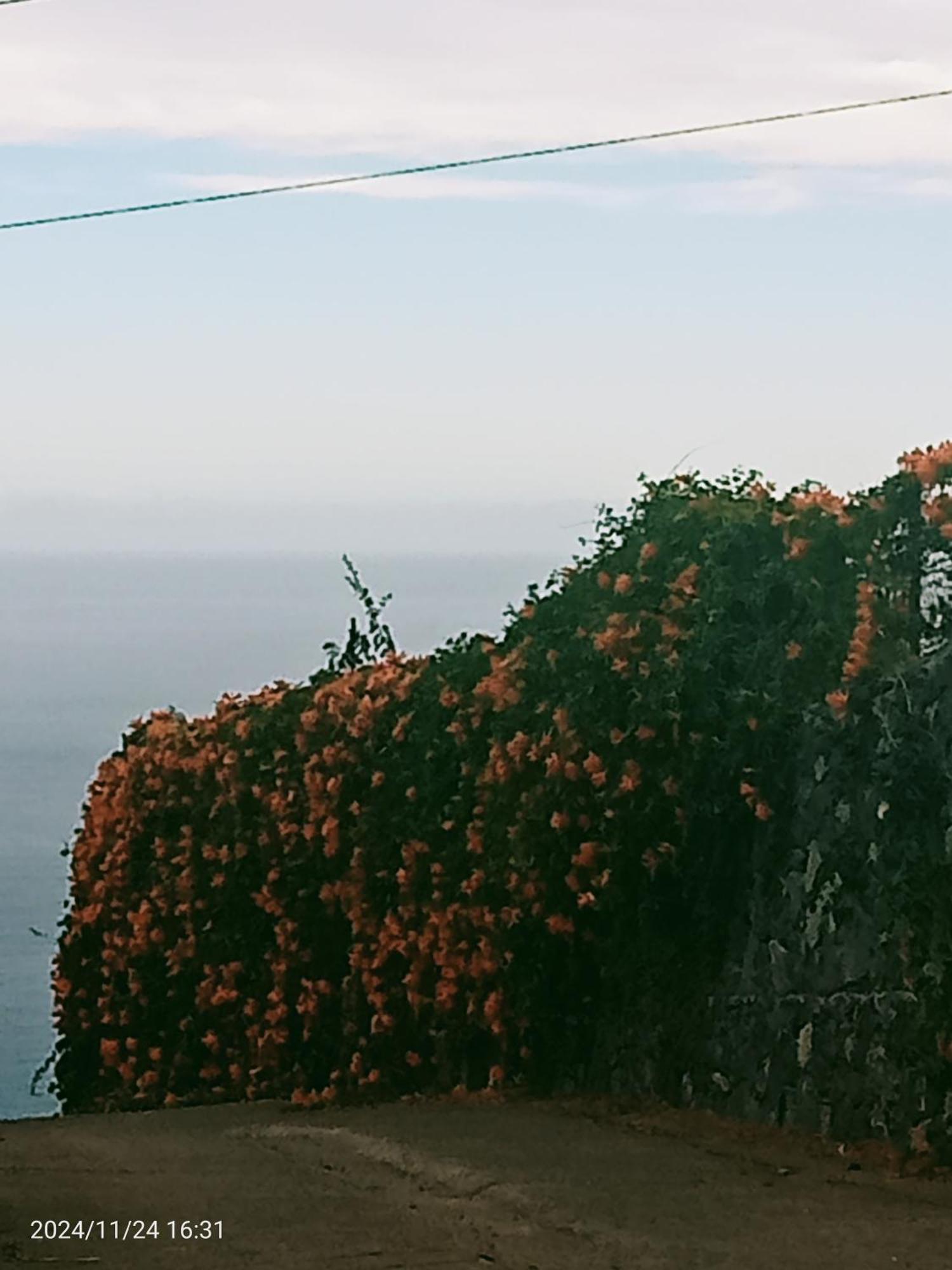 Finca Rural House Tenerife Relax And Enjoy Santa Úrsula Esterno foto
