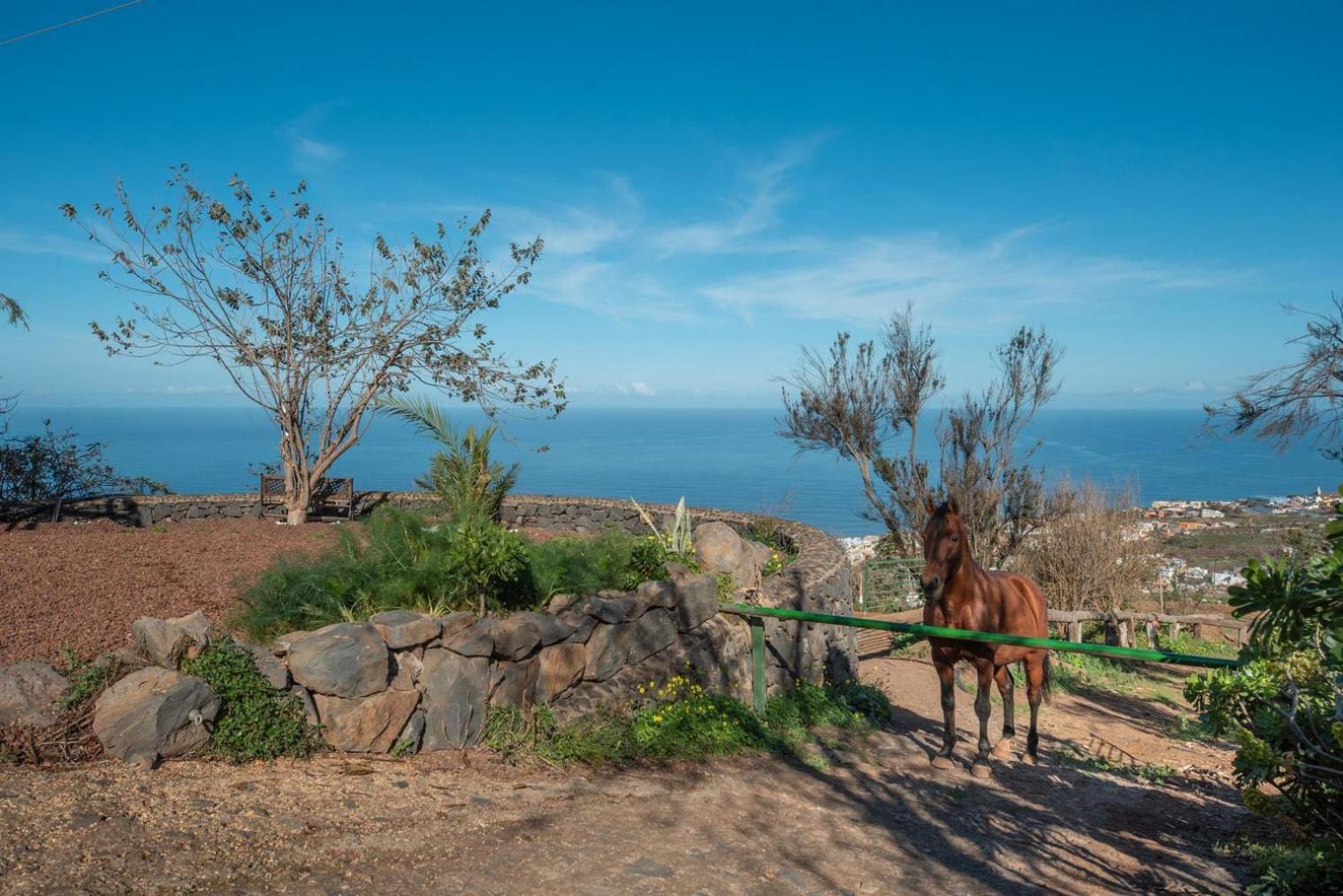 Finca Rural House Tenerife Relax And Enjoy Santa Úrsula Esterno foto
