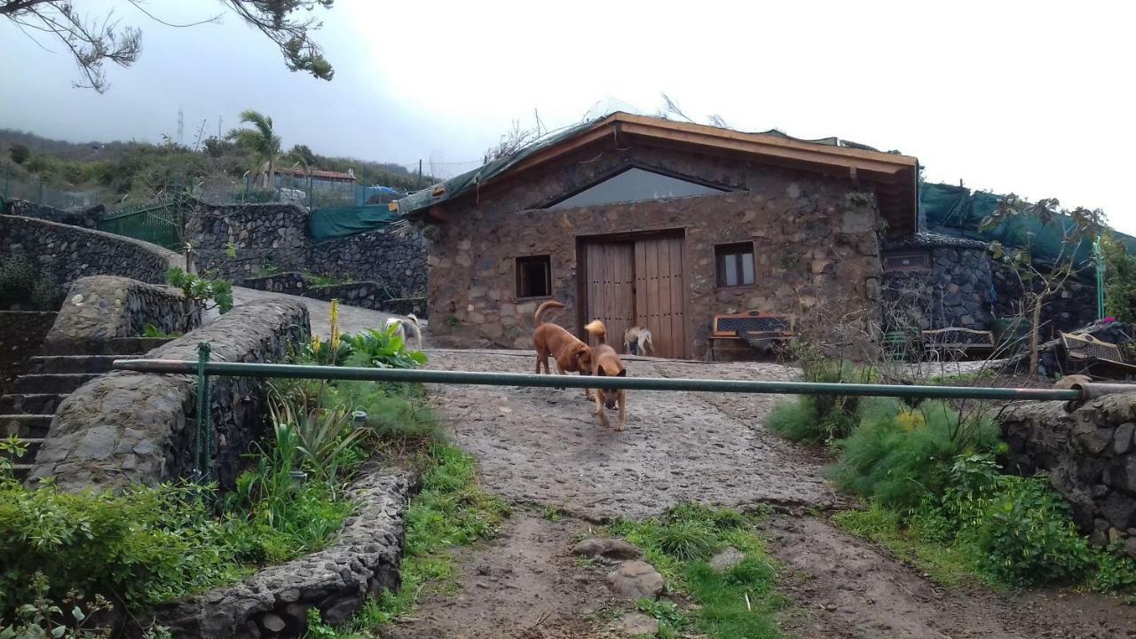Finca Rural House Tenerife Relax And Enjoy Santa Úrsula Esterno foto