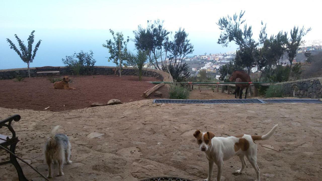 Finca Rural House Tenerife Relax And Enjoy Santa Úrsula Esterno foto